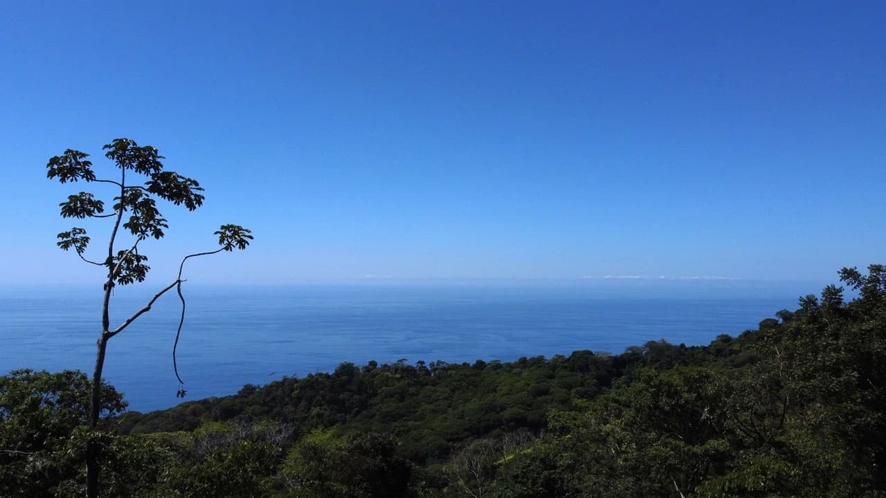 Exclusive 5.80 acres Ocean View Estate Lot in Costa Verde Estates – Escaleras - photo 5