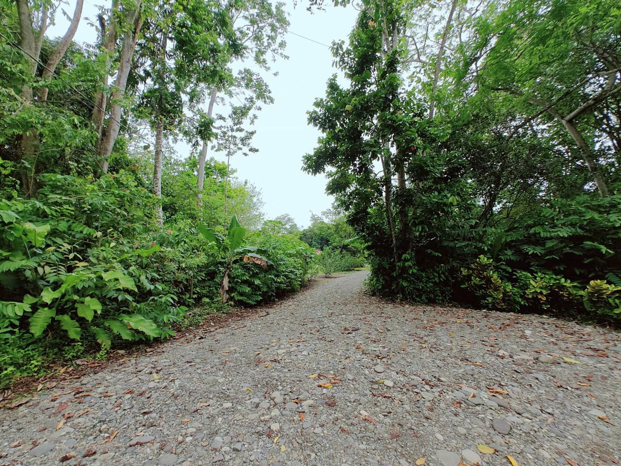 ID 751: Turn-Key Villa with Proven Income Near Cahuita National Park – Main House, Casita, and Stunning Pool on Over Half an Acre - photo 47