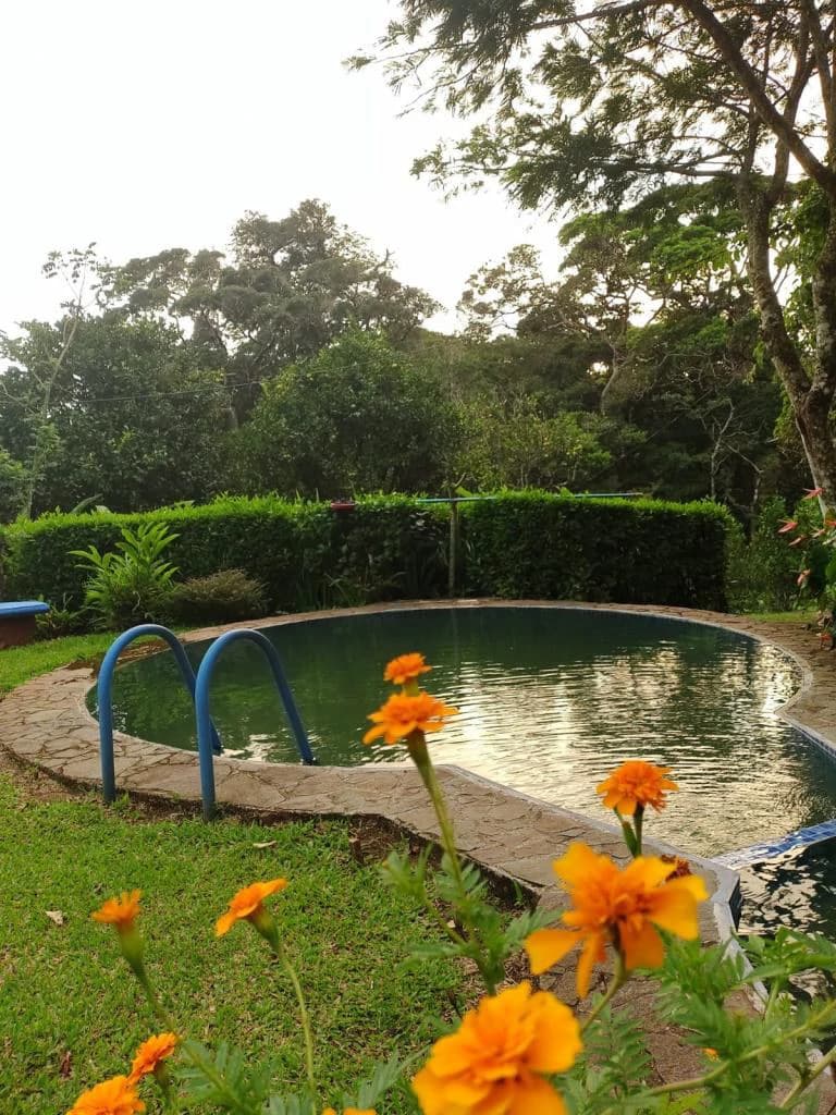 TURNKEY SOLUTION ECO MOUNTAIN LODGE FOR SALE - photo 76