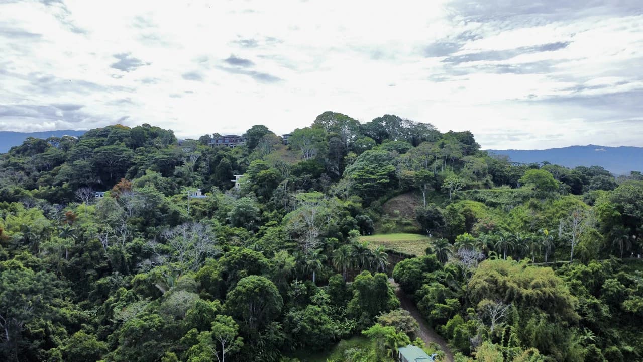 3.6 Acre Ocean View, Near the Beach & Cool Mountain Elevation: Mountain Home Construction Site For Sale in Lagunas - photo 5