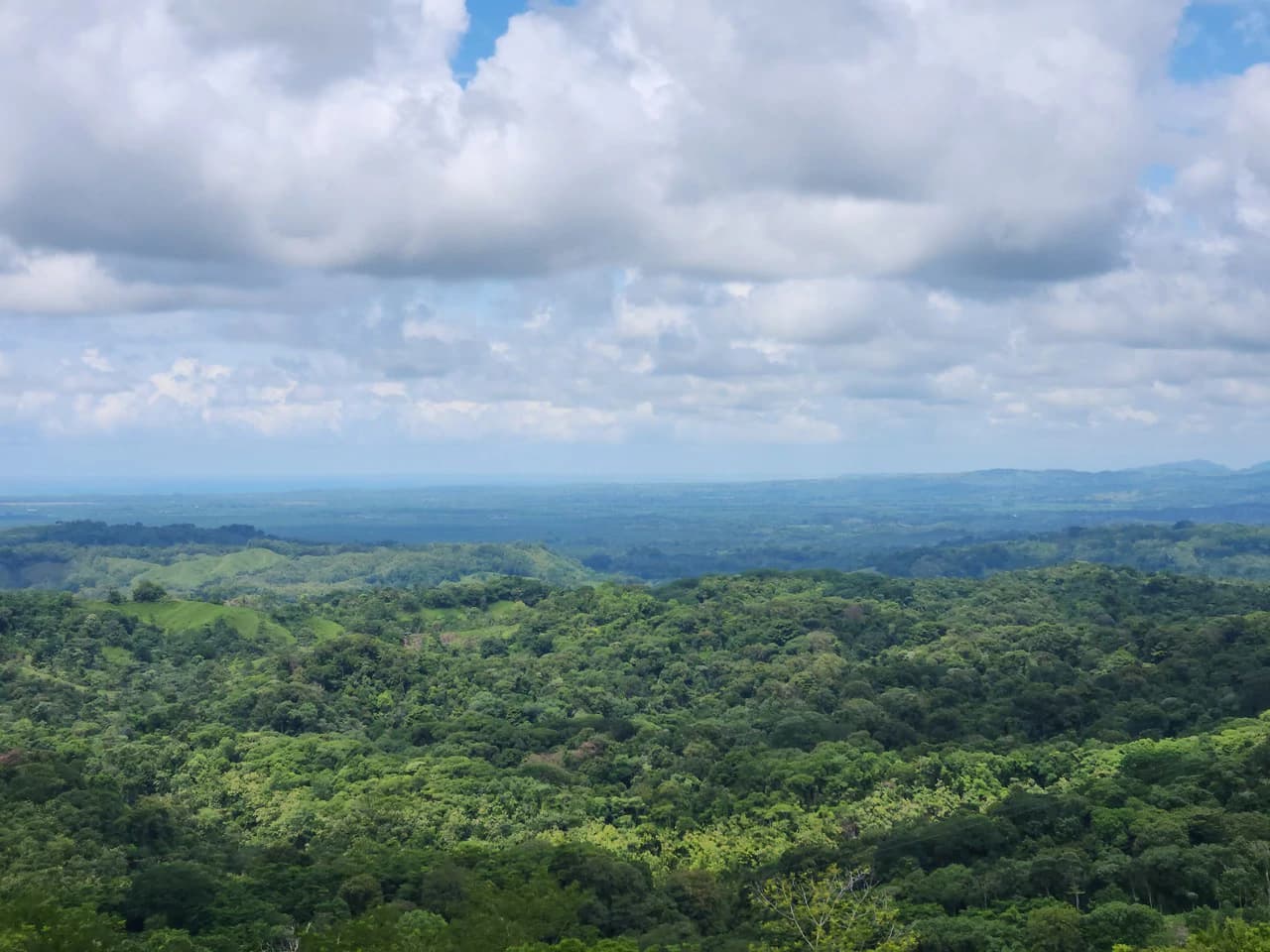 PRIME PARRITA FARM FOR SALE - photo 21