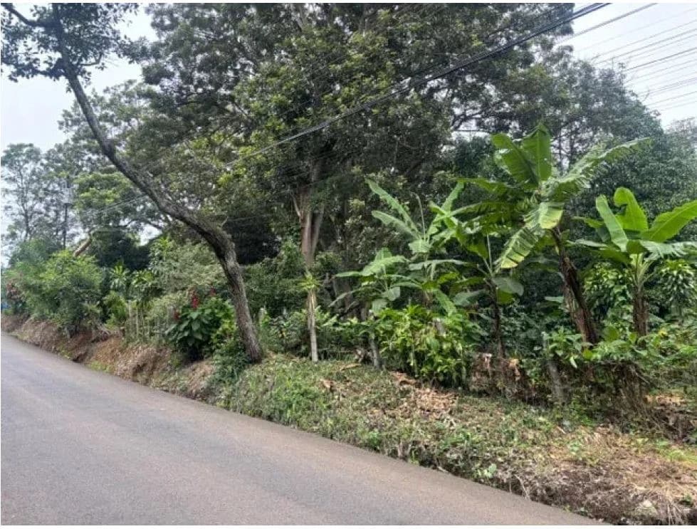 8223 m² Land in Atenas, Alajuela: Private Development in Natural Surroundings - photo 5