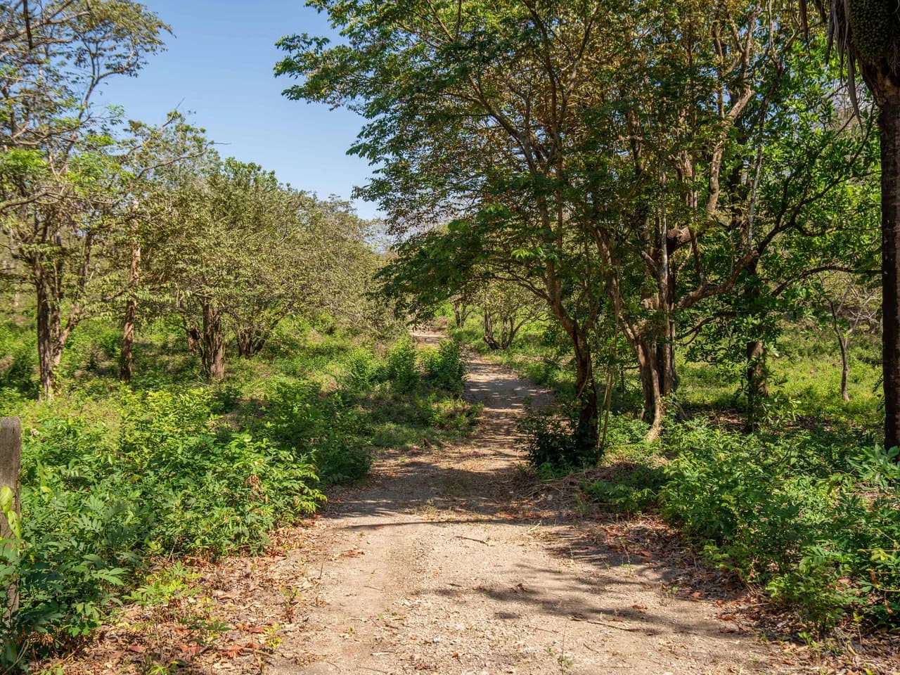 Finca Punta Indio: Dream Investment Opportunity - photo 5