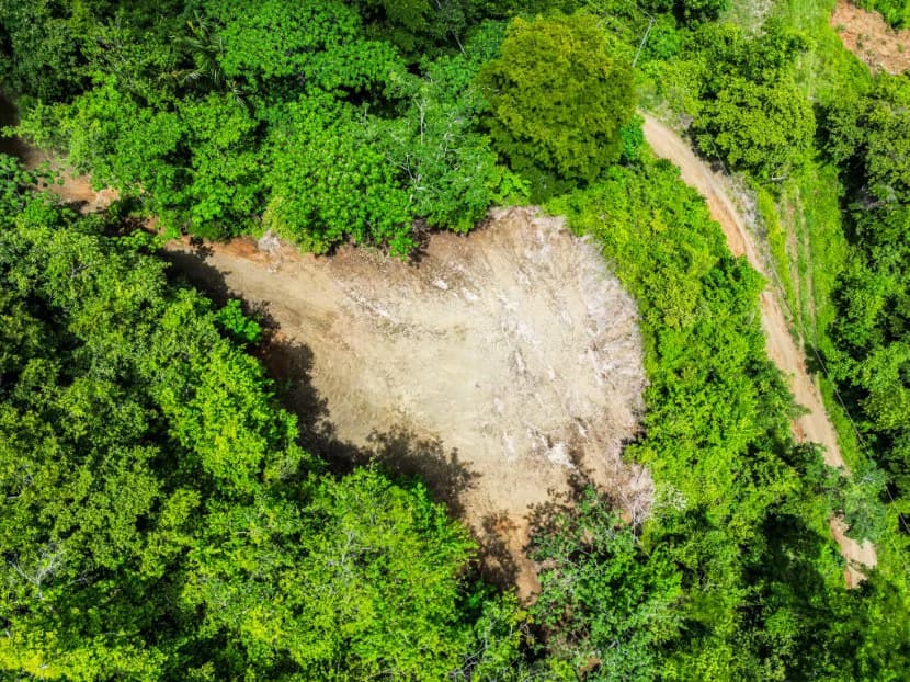 Lote Vista Lapa - 2.1 Acre Ocean View Lot: Countryside Home Construction Site For Sale in Playa Samara - photo 4
