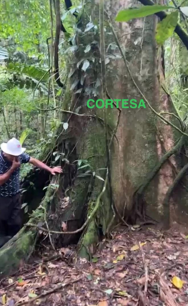Spectacular 72.44 acres: Costa Rica Nature Estate | Private Waterfall, River, Home & Spectacular Views | Near La Fortuna - photo 26