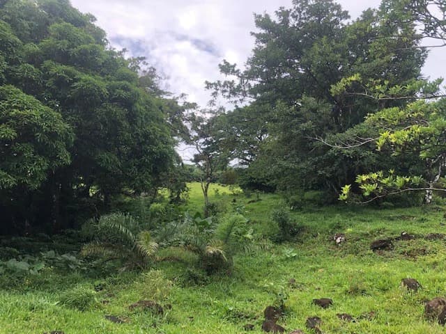 Warm Spring Mountain Property in a tropical landscape and antique wooden house, 50 minutes from Liberia city - photo 7
