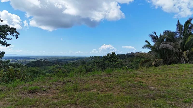 Gorgeous Ocean View Acreage in San Buenas - photo 6