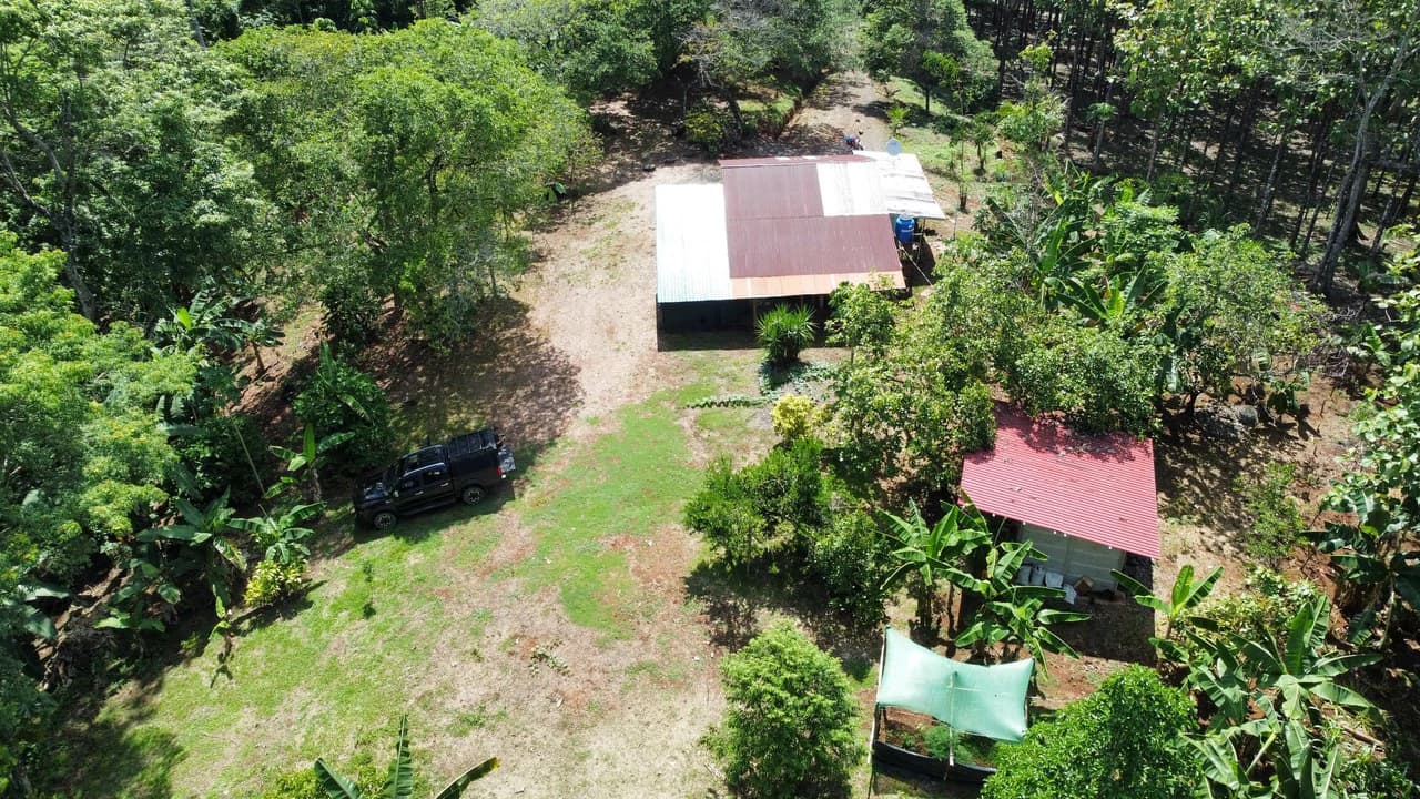 7-Hectare Farm with Teak Plantation, Existing Home & Eco-Development Potential Near Parrita, Costa Rica - photo 3
