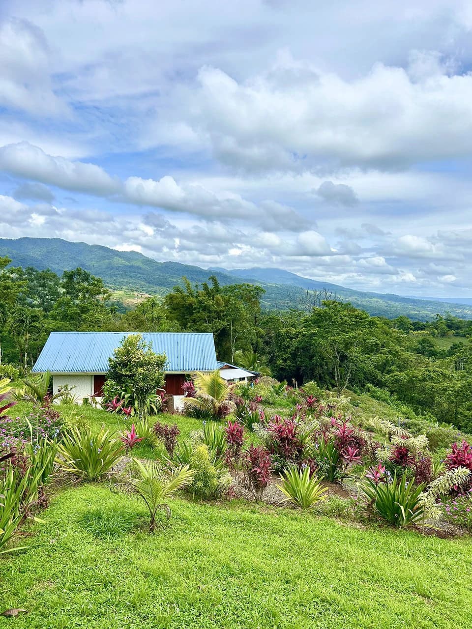 Costa Rica Ecolodge Retreat: TURNKEY COSTA RICA ECOLODGE & WELLNESS RETREAT | 28 ACRES + 5 GUEST CABINS | 45 MINUTES FROM LA FORTUNA - photo 4