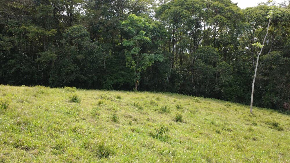 Countryside Home Construction Site For Sale in Centro de Pérez Zeledón - photo 2