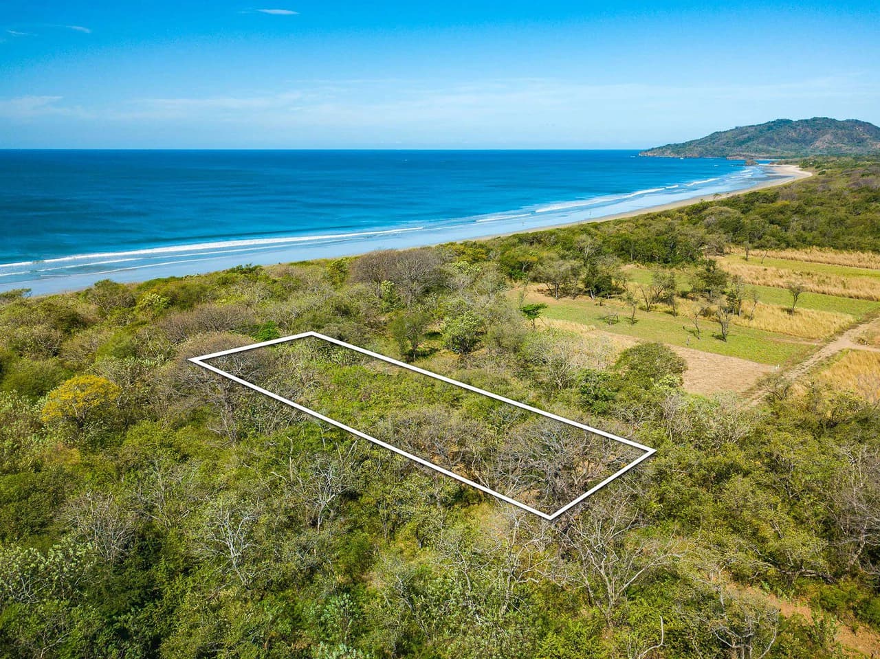 Playa Grande Lot #1: Titled Beachfront Estate Lot Playa Grande - photo 3