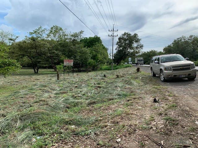 Sale commercial lot in front of the transito Liberia Guanacaste - photo 3