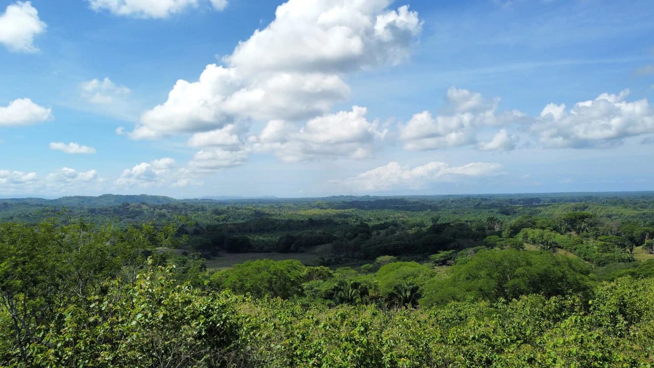 7-Hectare Farm with Teak Plantation, Existing Home & Eco-Development Potential Near Parrita, Costa Rica - photo 2