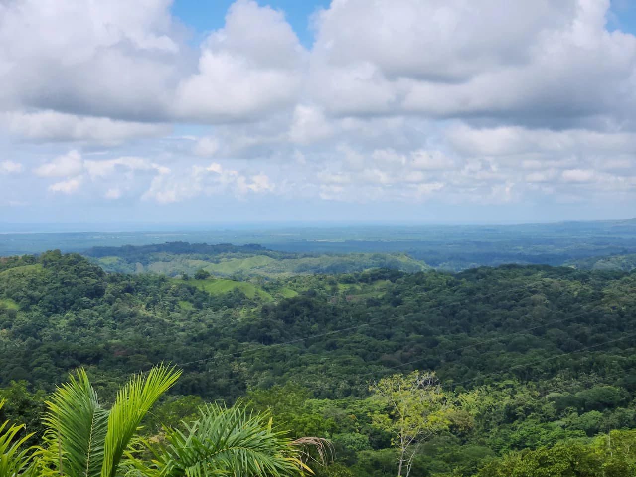 PRIME PARRITA FARM FOR SALE - photo 9