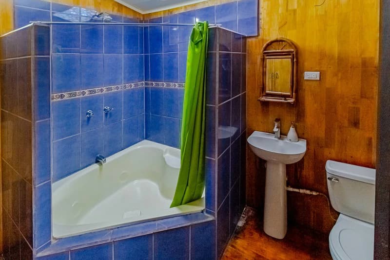 Casa San Pedrito: Beautiful house for sale in San Pedrito,(1,3hect) Perez Zeledon - photo 28