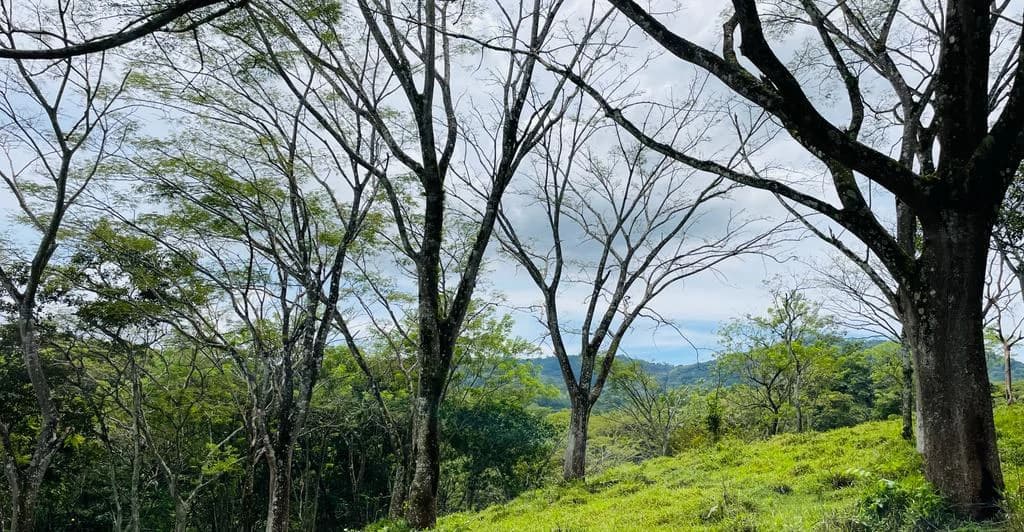 Farm for sale Puriscal Close to Universidad para la Paz Costa Rica