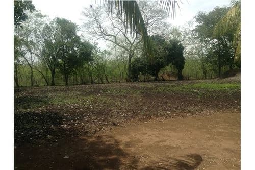 Commercial land in Guanacaste 0.87ha : 900701029-120 - photo 3