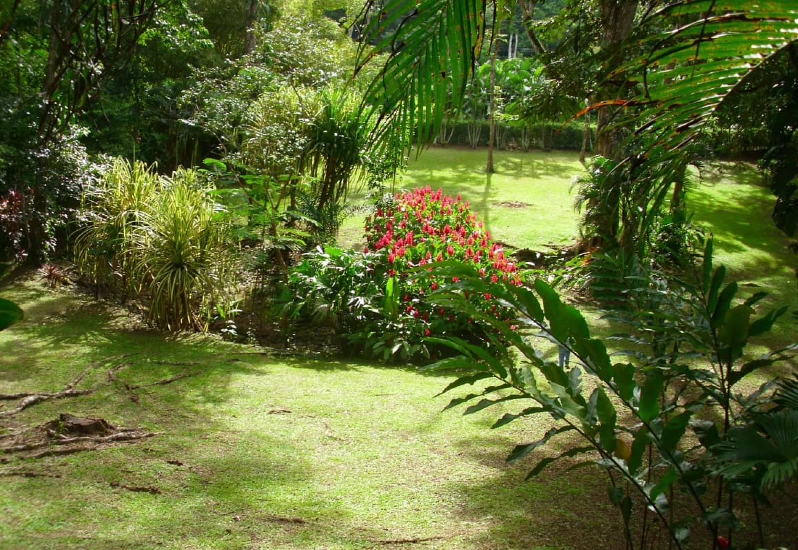 Fire Sale! $495.000 Prime Tourism Potential - photo 11