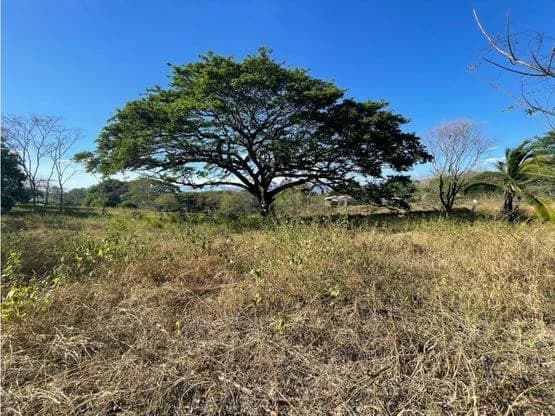 For Sale: This beautiful flat lot in La Ceiba of Orotina - photo 9