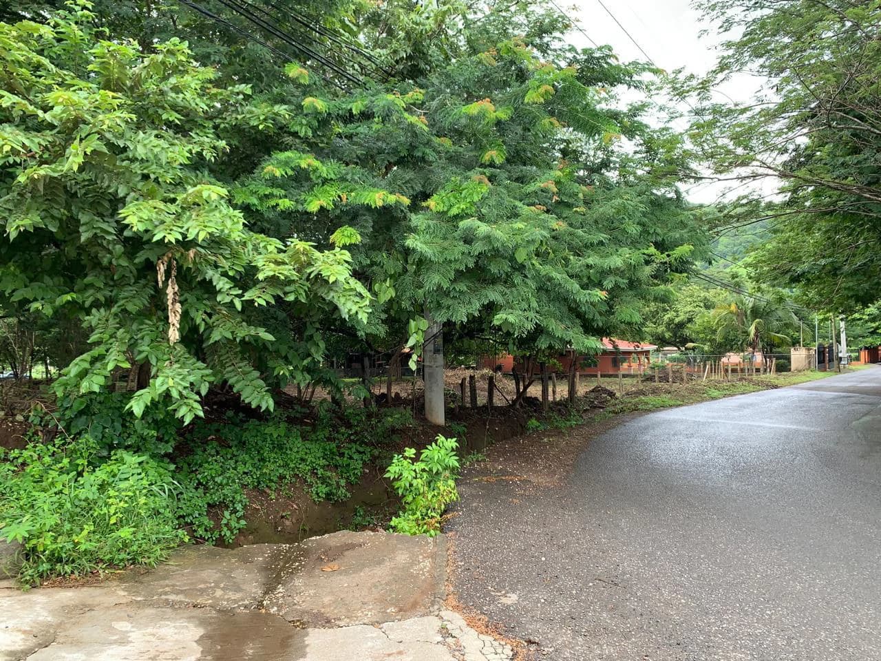 Great opportunity - Commercial property in Ocotal Beach - photo 3