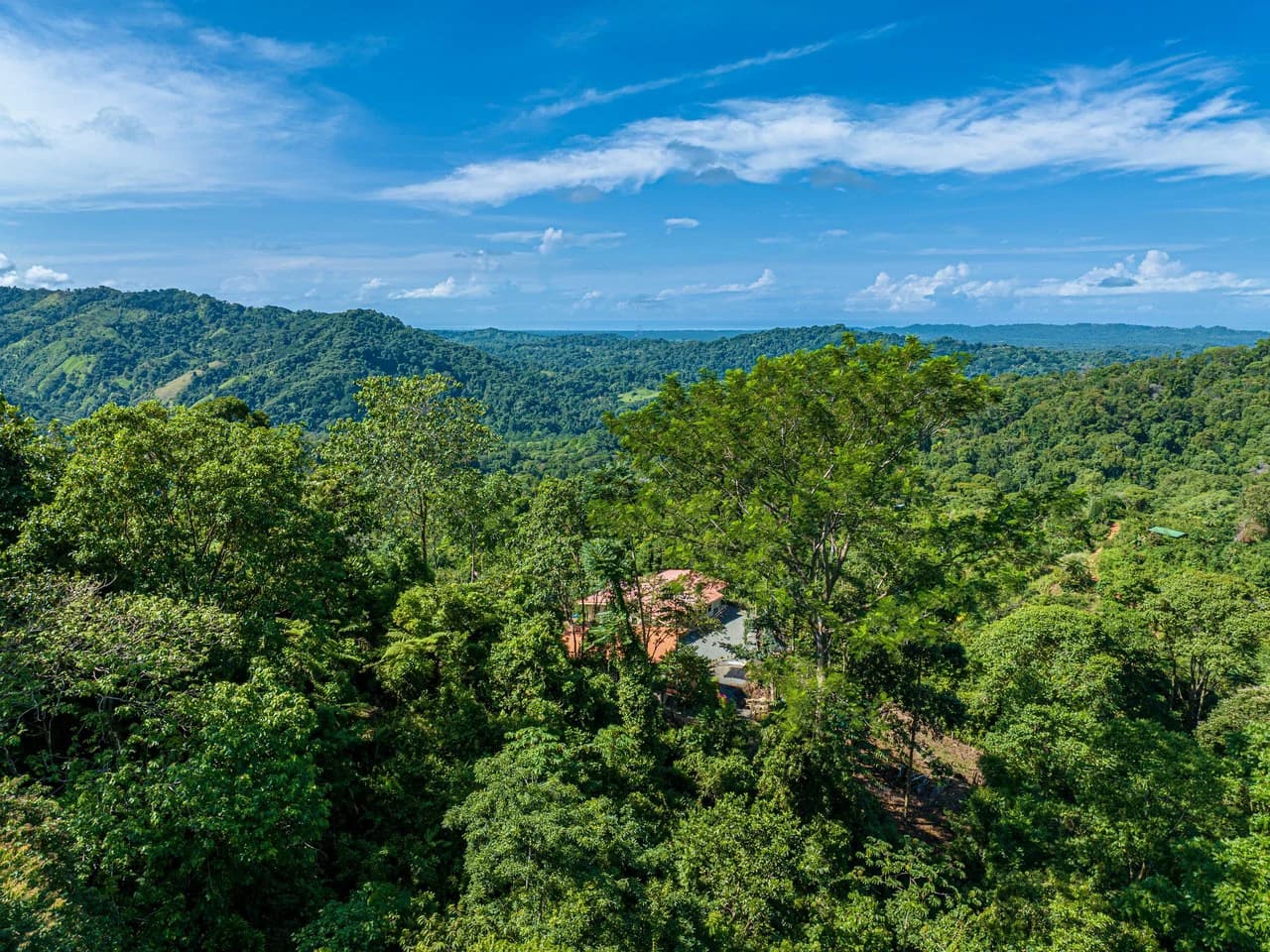 11.25 ACRES- 4 Bedrooms, Two Homes, Panoramic Ocean & Mountain Views With Stream, 30+ Fruit Trees, 40 Minutes to Quepos!!! - photo 5