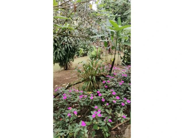 Countryside, Lakefront and Mountain House For Sale in Arenal - photo 7