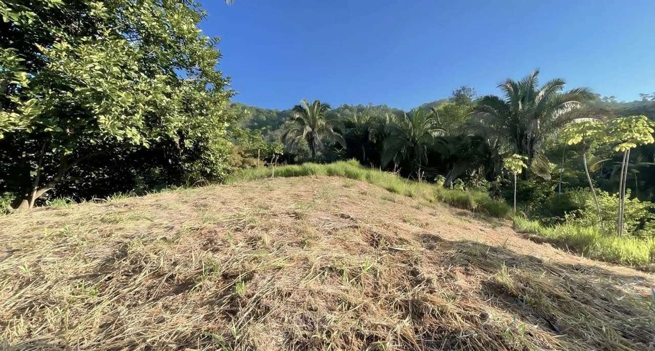 Exclusive Hermosa 1.2 Acre Lot with Panoramic Mountains and Ocean View. - photo 9