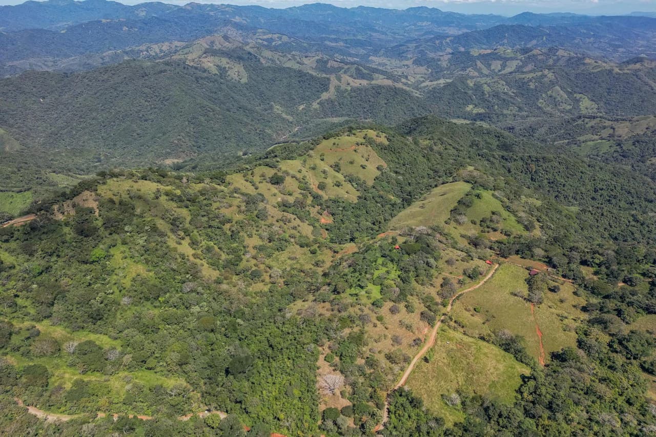 Silent Ridge: 2 Hectares With Ocean View - photo 2