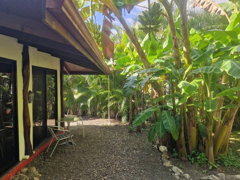 Casas Jungle: Charming Rental Compound with 5 units & pool in the heart of nature, minutes from Samara’s beaches - photo 32