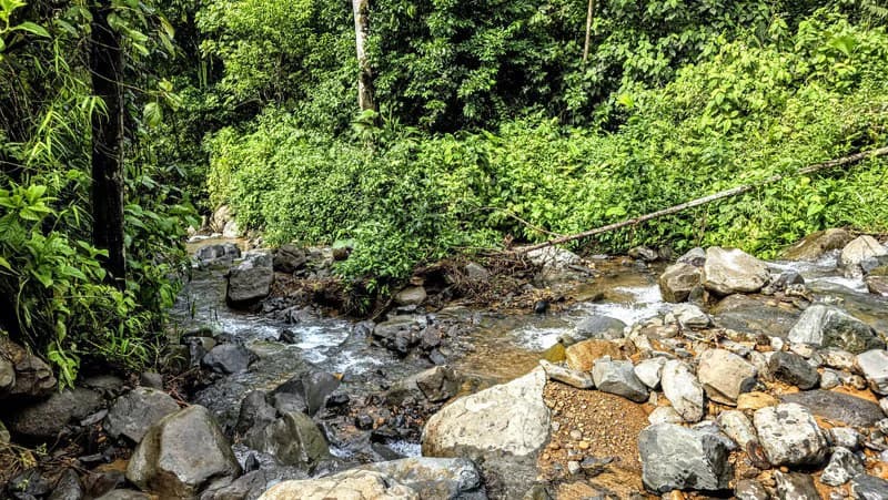 Waterfall Estate, Dos Bocas, Dominical Featuring Twin Waterfalls, Springs, Creeks & Rivers - photo 18