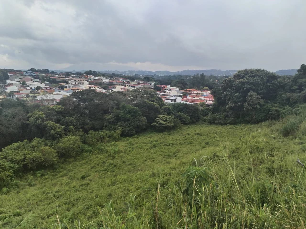 Farm in Desamparados, Alajuela: Ideal for Developers with Permits and Potential for 46 Lots - photo 5