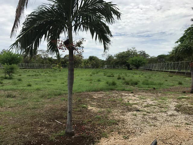 Commercial Property: Large Warehouse with Public Services near Guanacaste International Airport - photo 23