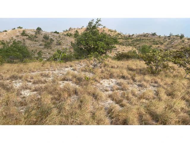 Zoning for homes, apartments, and warehouses in the mountains of Liberia, Beautiful 9.7 ha land with building permits - photo 7
