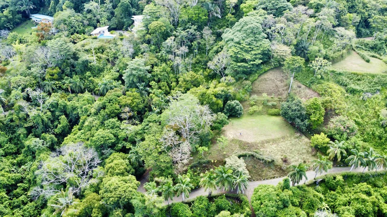 3.6 Acre Ocean View, Near the Beach & Cool Mountain Elevation: Mountain Home Construction Site For Sale in Lagunas - photo 3