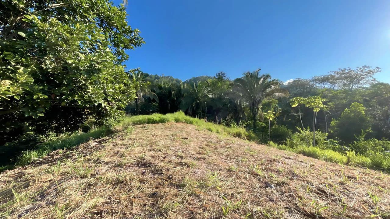Exclusive Hermosa 1.2 Acre Lot with Panoramic Mountains and Ocean View. - photo 12