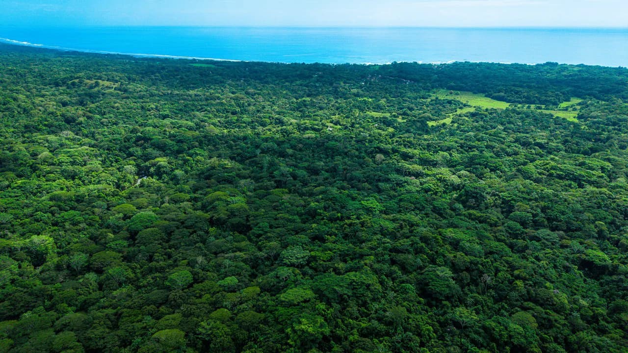 4,850 Acre Beachfront Legacy Ranch Esterillos Central Pacific Coast - photo 28