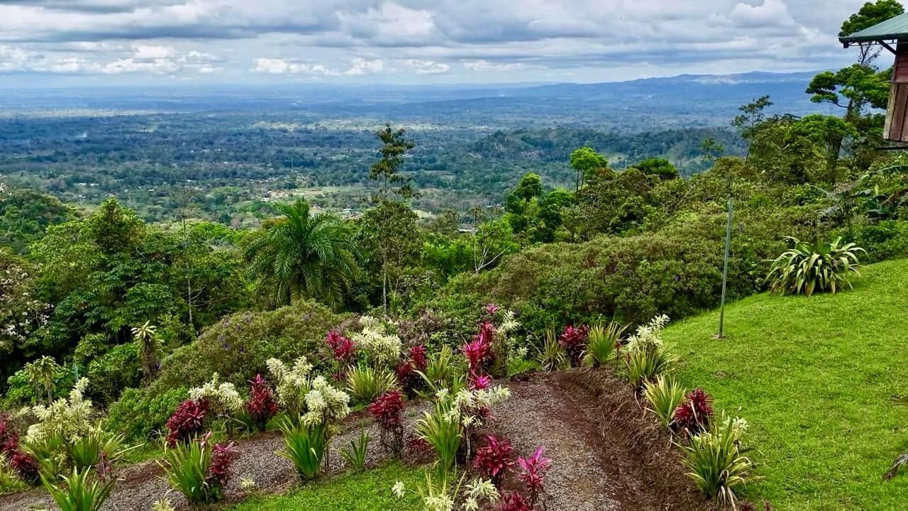 Costa Rica Ecolodge Retreat: TURNKEY COSTA RICA ECOLODGE & WELLNESS RETREAT | 28 ACRES + 5 GUEST CABINS | 45 MINUTES FROM LA FORTUNA - photo 66
