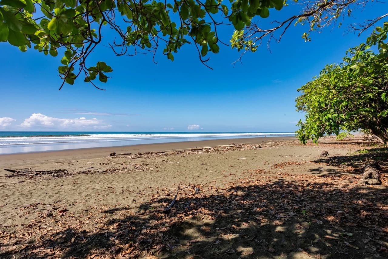 Exclusive Beachfront Opportunity south of Manuel Antonio Costa Rica - photo 20