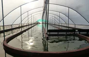 Spirulina Farm for Sale in Liberia, Guanacaste – Productive, Sustainable Business Ready to Generate Income