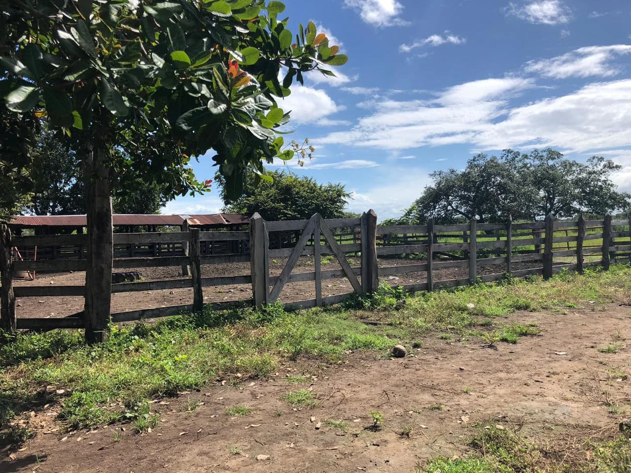 Great investment opportunity, property adjacent to Liberia Airport - photo 18