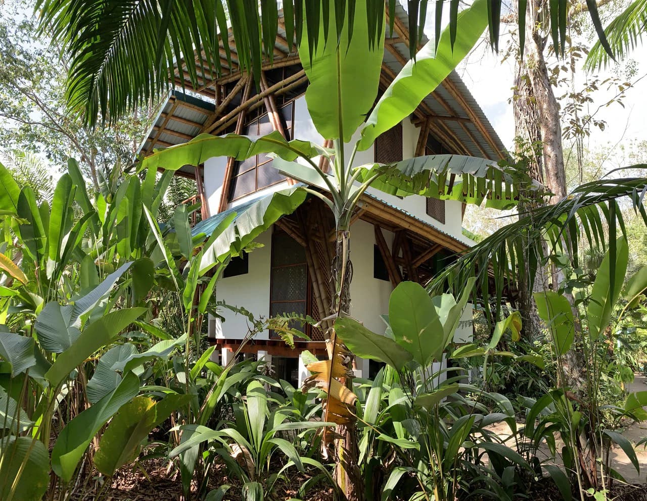 Jungle Beach Exotic Retreat - photo 28