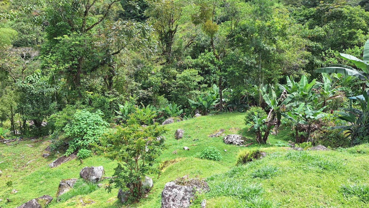 Propiedad en cedral: Mountain Home Construction Site For Sale in Cajón - photo 8