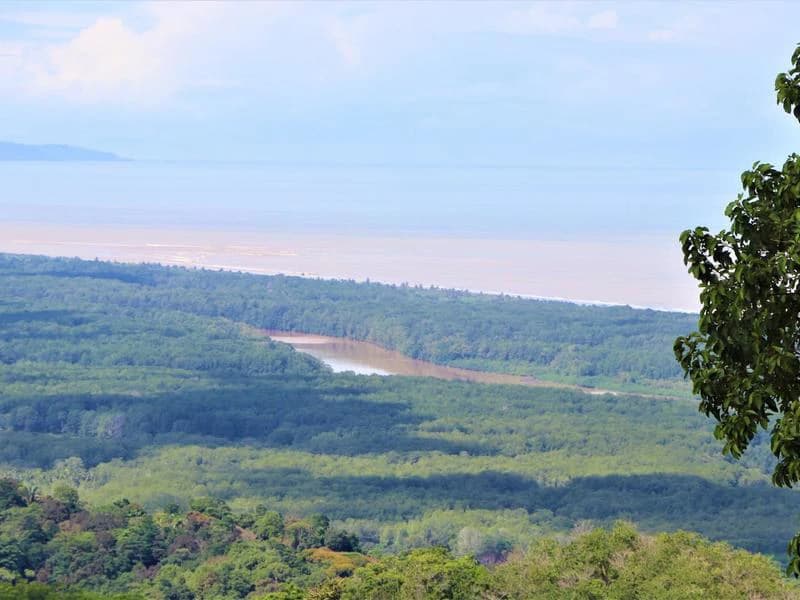 Captivating 3.15-Acre Property: Huge Pricedrop! Firesale Oceanview Lot in Tres Rios - photo 7