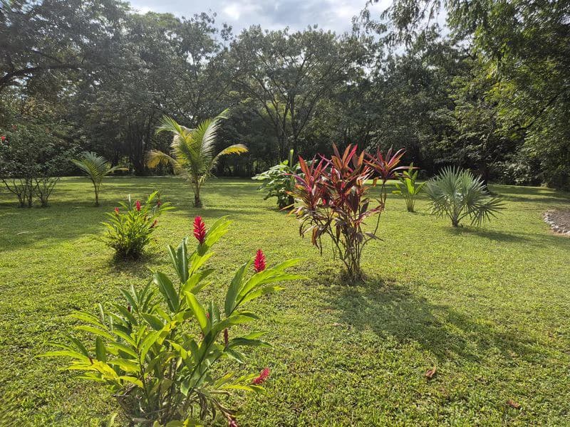 Casas Jungle: Charming Rental Compound with 5 units & pool in the heart of nature, minutes from Samara’s beaches - photo 25