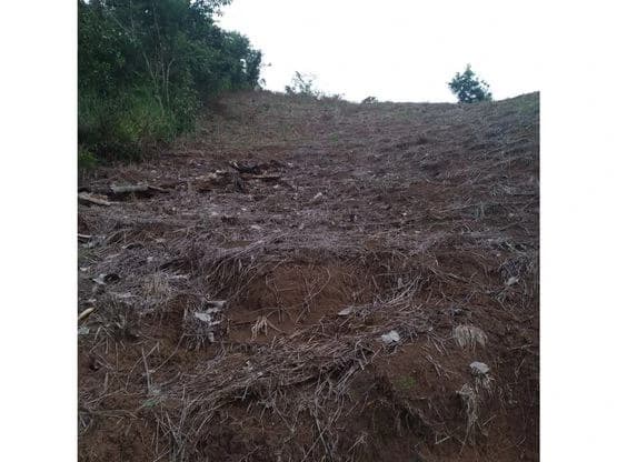 Home Construction Site For Sale in Bijagual - photo 7