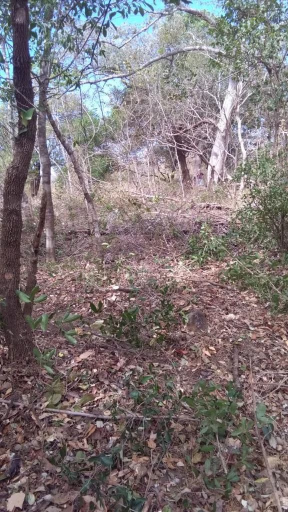 Huge agricultural land for sale near Liberia – excellent investment opportunity with river frontage in Bagaces - photo 3