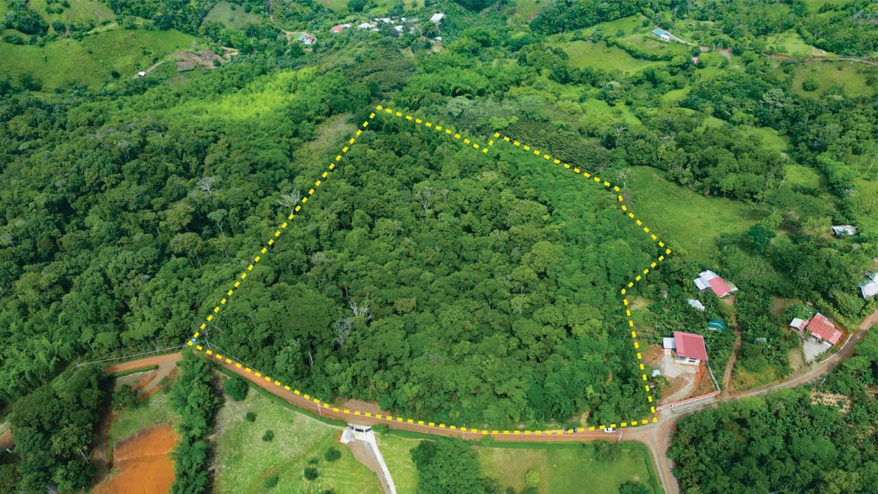 Property #1 with Bamboo Plantation, Development Opportunity (Residential, Hotel, and Industrial). - photo 2