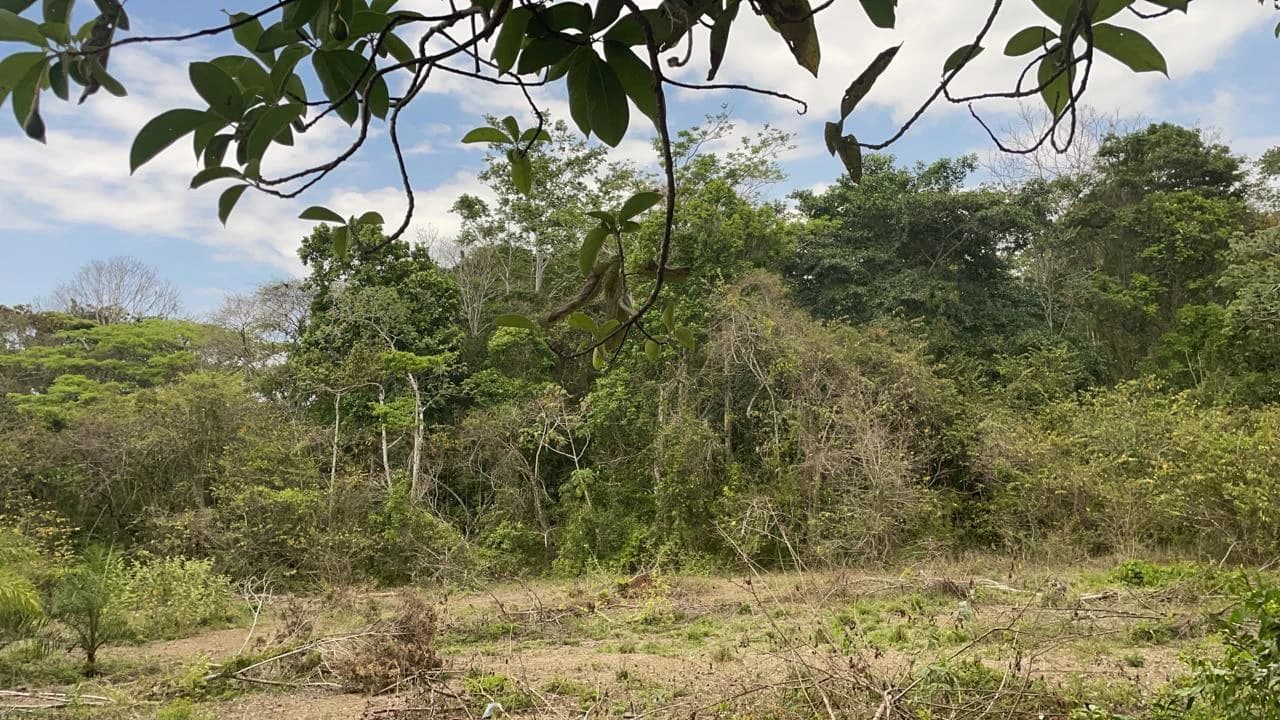 Development Property. Playa Herradura. Costa Rica - photo 2