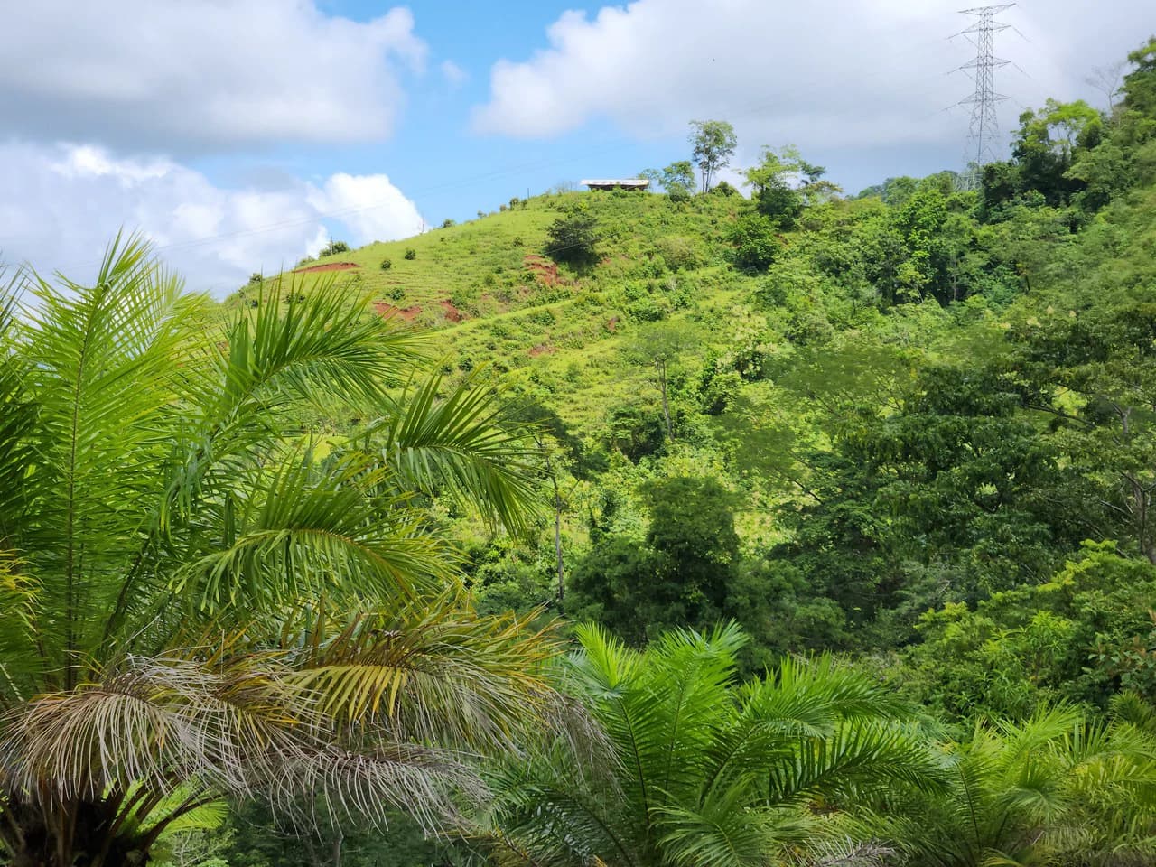 PRIME PARRITA FARM FOR SALE - photo 24