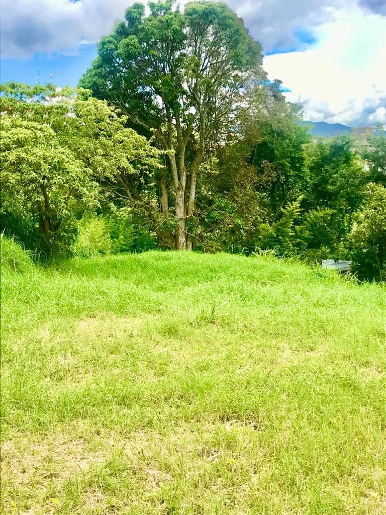 Goicoechea: Commercial Lot for Sale San Francisco Goicoechea High Vehicular Zone - photo 2